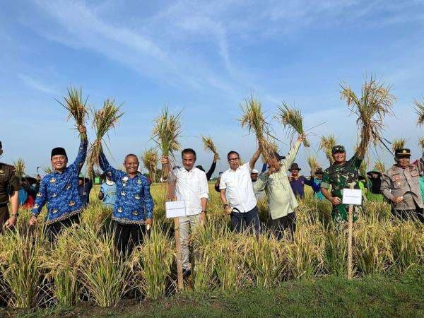 Peringati Hari Pangan Sedunia, Kabupaten Indramayu Sabet Tiga Penghargaan