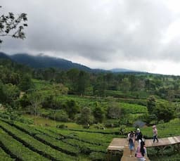 8 Tempat Wisata di Jasinga Bogor, Cukup di Sini Saja Buat Apa Jauh-Jauh ke Tempat Lain  