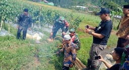 Antisipasi Serangan Tikus Jelang Musim Tanam, Pemdes Sirukun Bagikan 39 Set Fogging Tikus