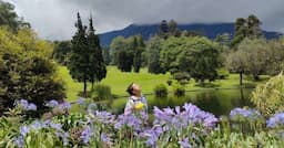 6 Tempat Menarik di Kebun Raya Cibodas, Curug Ciismun Adrenalin Jadi Naik, Taman Sakura Hati Adem