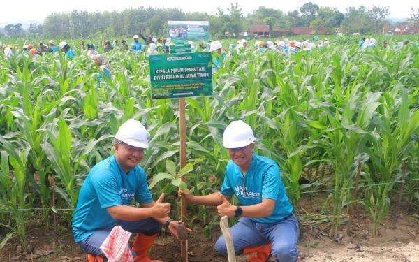 Groundbreaking Tanaman 2024, Perhutani Divre Jatim Tanam Pohon Hijaukan Hutan