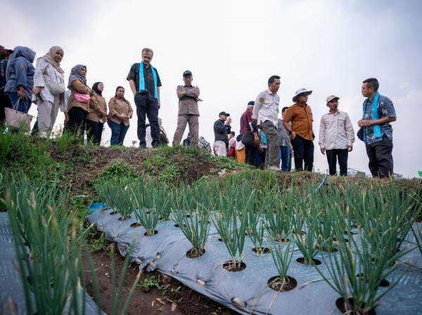 Dukung Ketahanan Pangan Indonesia, IsDB dan IFAD Kembangan Pertanian Dataran Tinggi