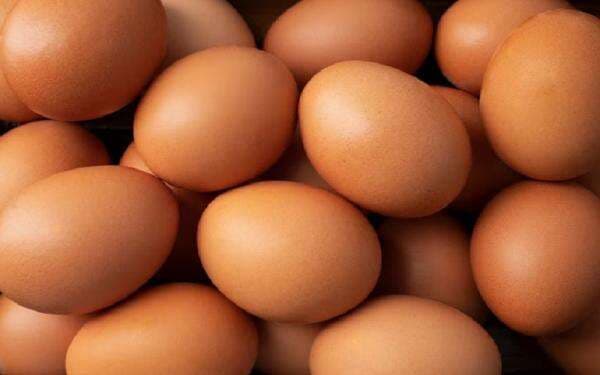 Surplus, Stok Telur Ayam Nasional Aman hingga Lebaran 2026 Surplus, Stok Telur Ayam Nasional Aman hingga Lebaran 2026