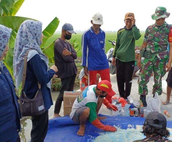 DKPP Lamongan Bersama Petani Lakukan Gerakan Pengendalian Tikus