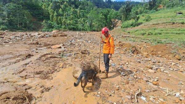 Fakta Baru! Hilangnya Teguh Diduga Bukan Longsor tapi Terseret Banjir