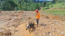 Fakta Baru! Hilangnya Teguh Diduga Bukan Longsor tapi Terseret Banjir