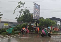 Hujan Deras Disertai Angin Kencang di Grobogan, Sejumlah Pohon Tumbang, 1 Rumah Roboh