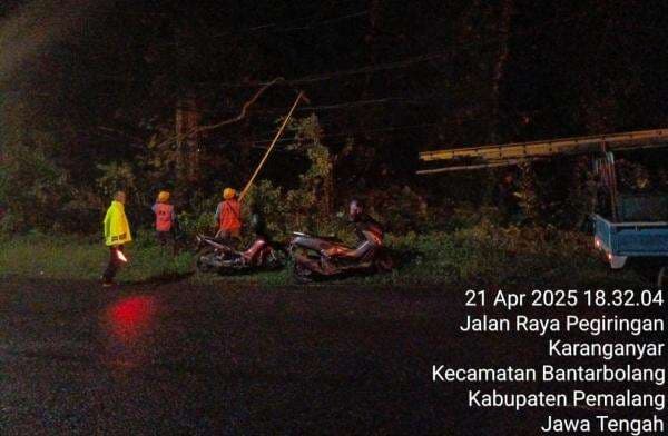 Kapolsek Bantarbolang Dampingi Petugas PLN Evakuasi Dahan Pohon yang Tersangkut di Kabel Listrik Kapolsek Bantarbolang Dampingi Petugas PLN Evakuasi Dahan Pohon yang Tersangkut di Kabel Listrik