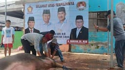 Sembelih Kerbau, Hamzah Optimis Depok Maju di Bawah Kepemimpinan Supian-Chandra