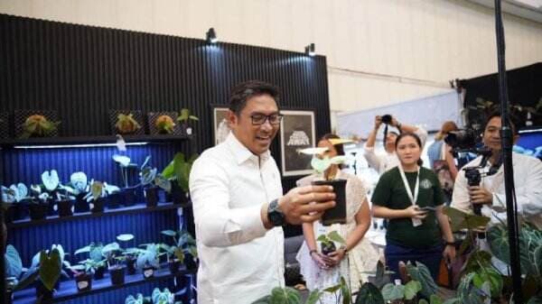 Ragam Tanaman Hias di FLOII Expo 2024, Ada Spesies Anggrek Baru dari Kalimantan Timur