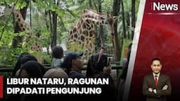 Ragunan, Ancol hingga Malioboro Ramai Dikunjungi Wisatawan pada Libur Nataru