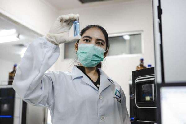 Tumbuh 173 Persen, Pendapatan Pyridam Farma (PYFA) Tembus Rp1,92 Triliun Tumbuh 173 Persen, Pendapatan Pyridam Farma (PYFA) Tembus Rp1,92 Triliun