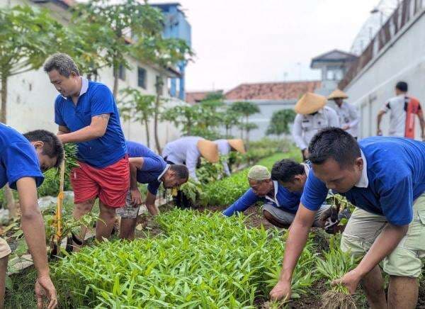 Dukung Ketahanan Pangan Nasional, Rutan Kelas IIA Pekalongan Panen Raya Hasil Kebun