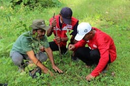 Tanam Pohon Buah dan Berkemah, Cara PMI Grobogan Peringati Hari Sukarelawan