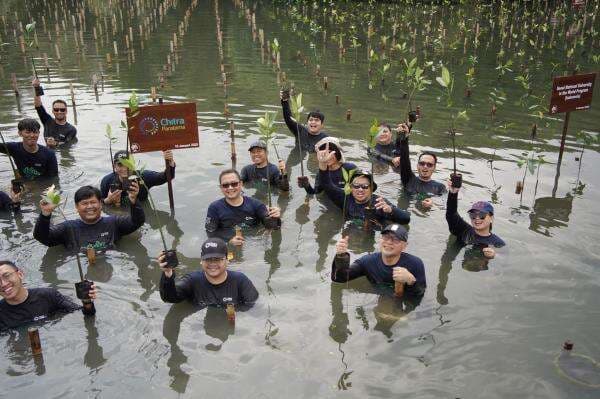 PT Chitra Paratama Gelar CSR Penanaman Mangrove: Wujud Kepedulian Lingkungan Menuju Usia 25 Tahun