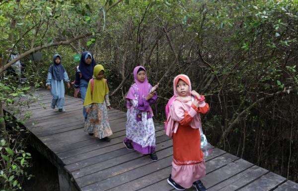 Tarik 5.000 Pengunjung Saat Libur Imlek 2025, Kebun Raya Mangrove Surabaya Siapkan Atraksi Seru!