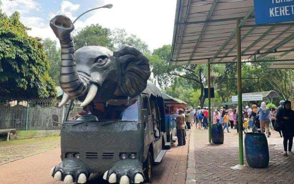 Libur Nataru, 7.000 Wisatawan Padati Taman Margasatwa Ragunan Jumat Pagi Libur Nataru, 7.000 Wisatawan Padati Taman Margasatwa Ragunan Jumat Pagi