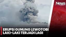 Gunung Lewotobi Laki-Laki Erupsi, Warga Panik dan Takut Dengar Suara Gemuruh