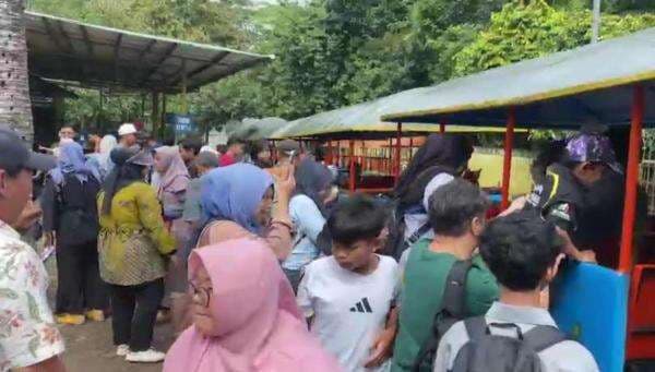 Banyak Anak Terpisah dari Orang Tua, Pengelola Ragunan Ingatkan Hal Ini Banyak Anak Terpisah dari Orang Tua, Pengelola Ragunan Ingatkan Hal Ini