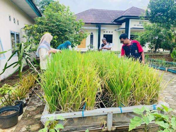 Sawah Mini, Antarkan Yekti Nunihartini Juara Lomba Teknologi Tepat Guna Banjarnegara