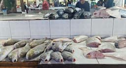 Harga Ikan di Pasar Mentok Bangka Barat Melambung Tinggi 