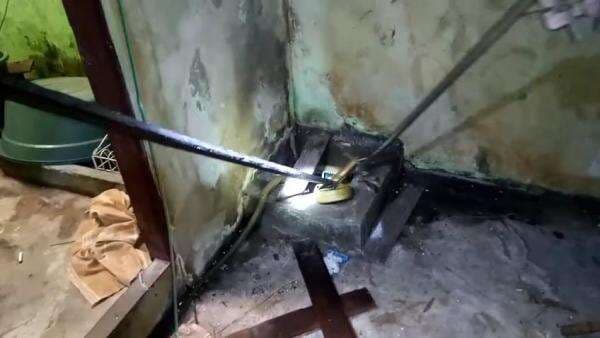 Ngeri, Ular King Kobra Masuk Rumah Warga saat Penghuninya Sedang Beraktifitas di Dapur Ngeri, Ular King Kobra Masuk Rumah Warga saat Penghuninya Sedang Beraktifitas di Dapur