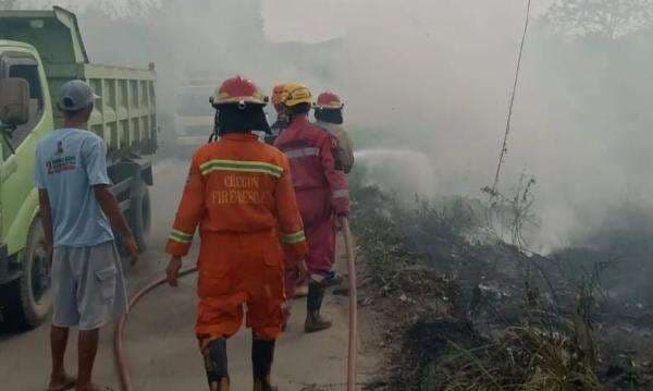 Kebakaran Besar Terus Berulang di Cilegon, 3 Ribu Meter Padang Ilalang Ludes Terbakar