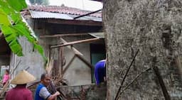 Pohon Kelapa Tumbang Timpa Sepeda dan Dapur Rumah Warga di Ciamis