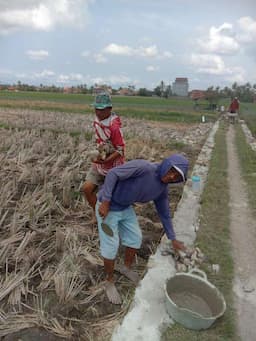 Pekon Bulukarto Bangun TPT untuk Perkuat Akses Petani dan Cegah Longsor