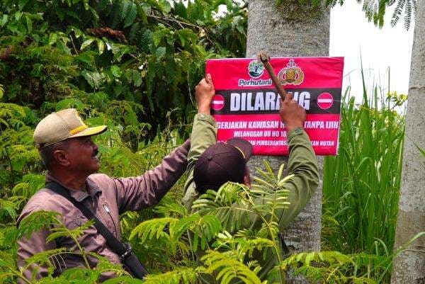 Perum Perhutani KPH Probolinggo Pastikan Tidak Ada Alih Fungsi Hutan di Wilayah Lumajang