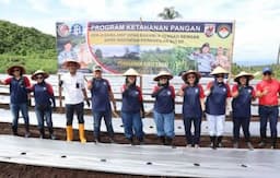 Program Ketahanan Pangan, Zona Bakamla Tengah Tanam 10.000 Bibit Cabai