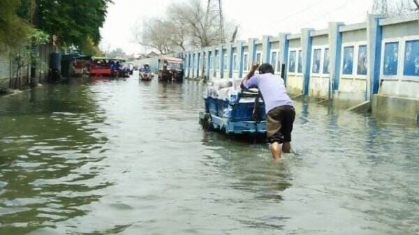 Waspada! Banjir Rob Intai 10 Wilayah Pesisir Jakarta, Berikut Sebarannya