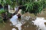 Banjir Melanda Sidenreng Rappang Sulsel, 718 KK Terdampak