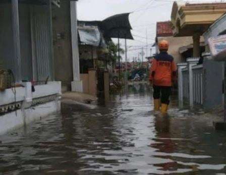 Sudah 3 Hari Banjir Rob Rendam 3 Kelurahan di Tegal, 3.987 Warga Terdampak