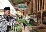 Baznas RI Bersama Baznas Kabupaten Jember Luncurkan Balai Ternak dan Rumah Kompos di Jember