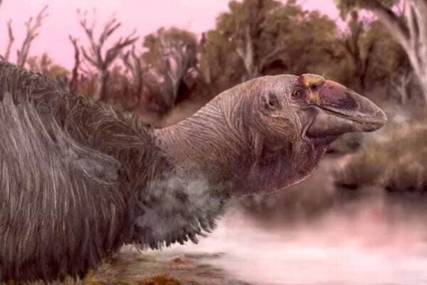 Bebek Iblis Raksasa 'Giga-Goose' Pernah Berkeliaran di Australia