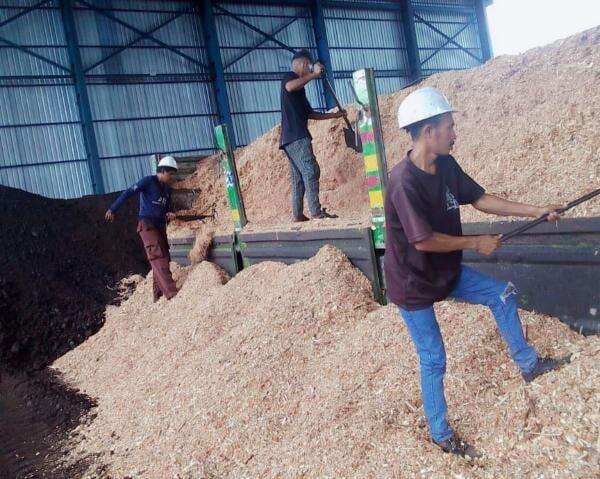 Perkuat Ketahanan Energi, Ini Dia Harta Karun Biomassa di NTT Perkuat Ketahanan Energi, Ini Dia Harta Karun Biomassa di NTT