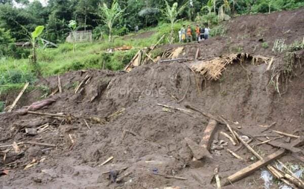 BNPB: Satu Kampung di Pesisir Selatan Sumbar Direlokasi Akibat Banjir dan Longsor   