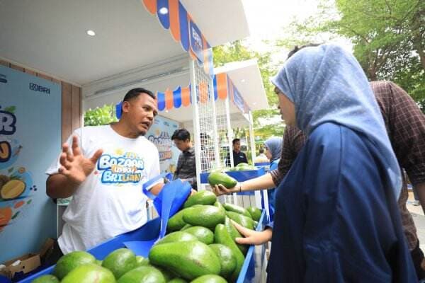 Berkat BRI Klasterku Hidupku, Petani Ini Sukses Kembangkan Budidaya Alpukat