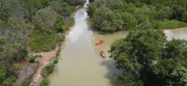 Destinasi Wisata Baru! Lembur Mangrove Patikang di Pandeglang Banten Tarik Perhatian Wisatawan