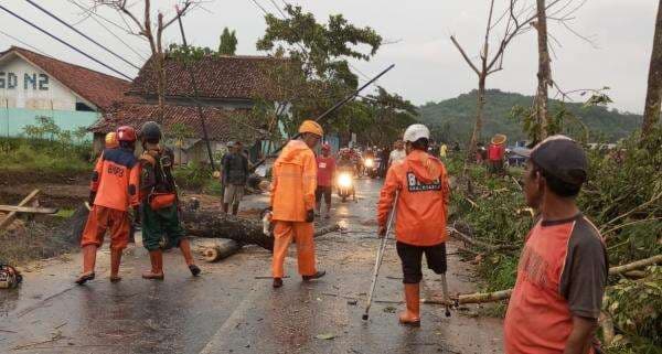 Hujan Deras dan Angin Puting Beliung Landa 2 Desa di Ciamis, Belasan Pohon Tumbang