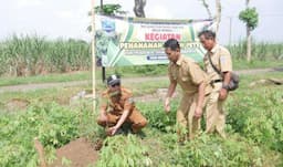 Dukung Ketahanan Pangan, Desa Pendil Probolinggo Tanam Pete di Lahan Terbengkalai