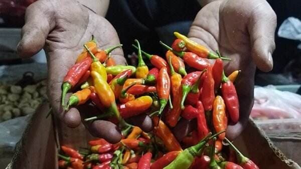 Harga Cabai Rawit hingga Bawang Merah Melambung, Tembus Segini! Harga Cabai Rawit hingga Bawang Merah Melambung, Tembus Segini!