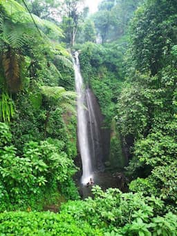 10 Curug di Bogor, Sumpah Deh Cocok Jadi Lokasi Healing Alami yang Menyegarkan  