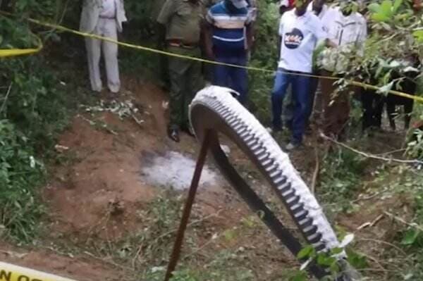 Cincin Misterius Seberat Setengah Ton Jatuh dari Langit, Warga Sebut Tanda Kiamat