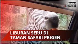 Liburan Sembari Bertemu Satwa di Taman Safari Prigen