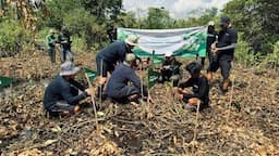 Tanam 10.600 Mangrove, Telkomsel Donasikan Hasil Poin Pelanggan untuk Kurangi Emisi Karbon