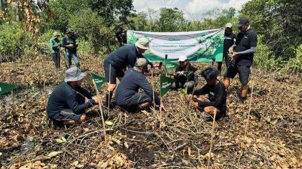 Tanam 10.600 Mangrove, Telkomsel Donasikan Hasil Poin Pelanggan untuk Kurangi Emisi Karbon