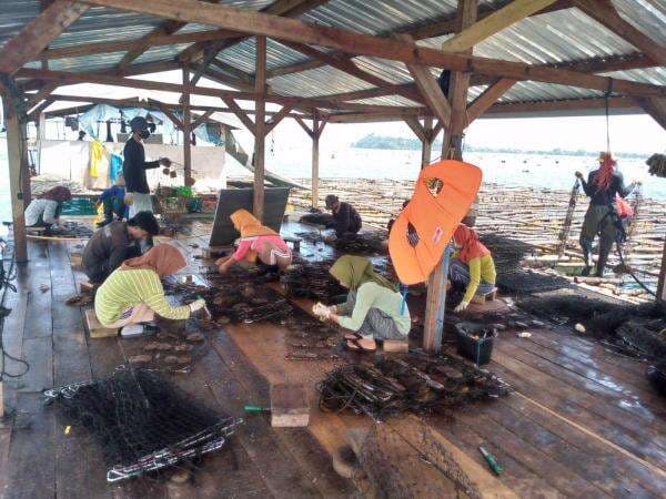 Dijadikan Tersangka, Direktur Perusahaan PMA PT Sino Indo Mutiara di NTB Mengadu ke DPR Dijadikan Tersangka, Direktur Perusahaan PMA PT Sino Indo Mutiara di NTB Mengadu ke DPR