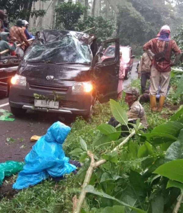 Kecelakaan Pikap di Bondowoso, Pekerja Kopi Terlempar, Beberapa Patah Tulang